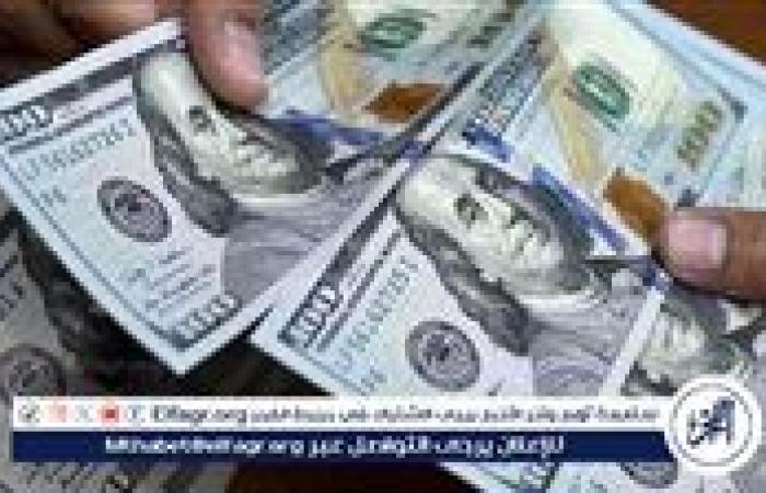 سعر الدولار مقابل الجنيه المصري اليوم الأربعاء 15-1-2025