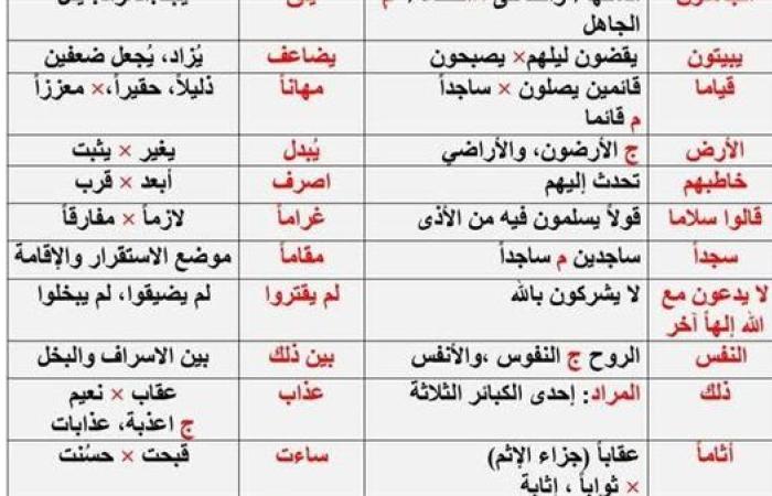 مراجعات نهائية.. أبرز مفردات منهج القراءة في اللغة العربية لـ الصف الثالث الإعدادي ترم أول