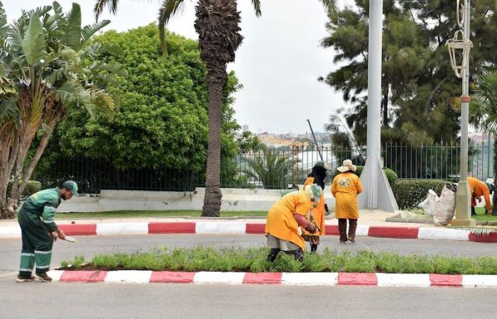 لوائح "عمال الإنعاش" تخضع للافتحاص في مجموعة من الجماعات