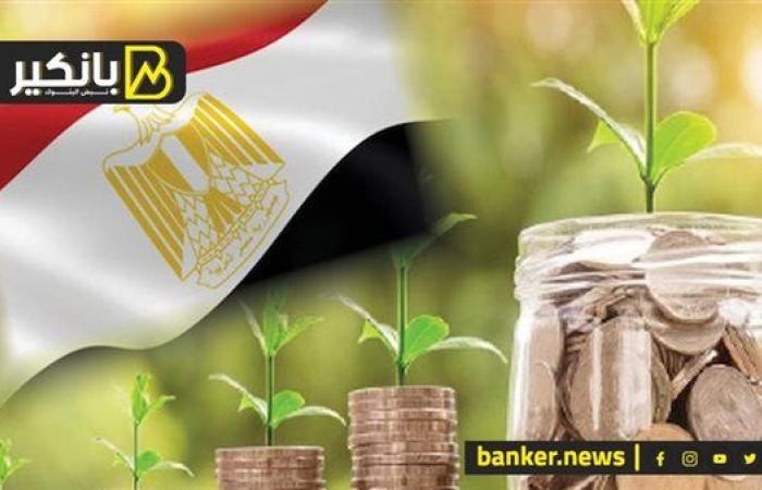 الاقتصاد الأخضر هيعمل قلبان في مصر.. هنقولك إزاي الدولة بتحضر نفسها؟