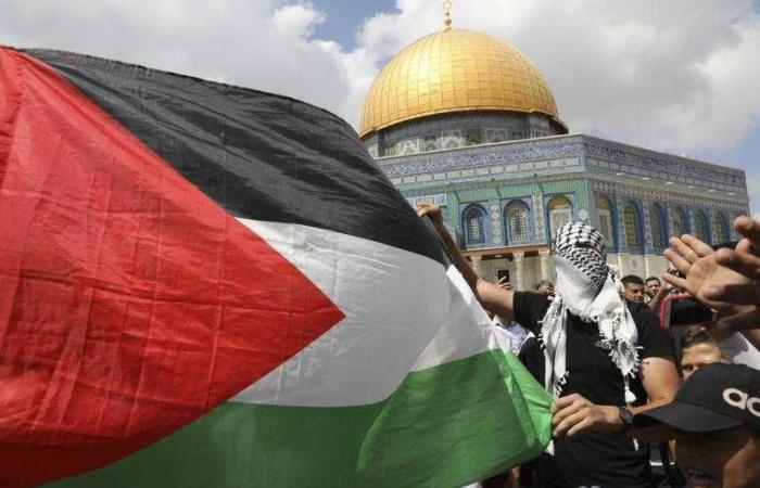 فلسطين والأمم المتحدة تبحثان جهود تنفيذ الخطة الإغاثية في غزة