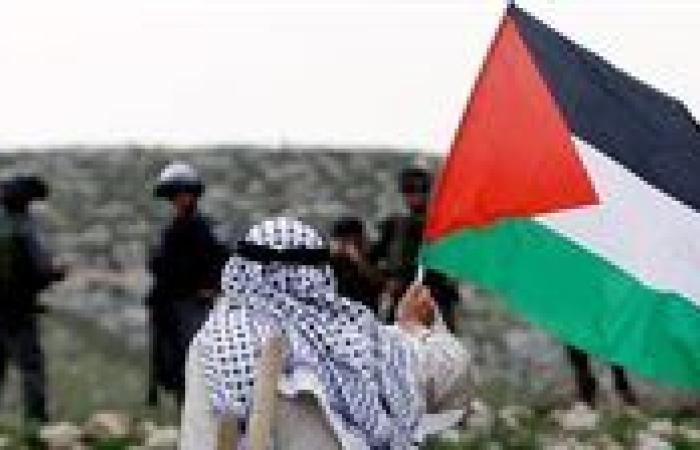 القضية الفلسطينية... هل تصبح مفتاح الحل في الشرق الأوسط؟