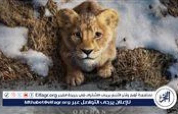 فيلم Mufasa: The Lion King يحقق أكثر من 650 مليون دولار