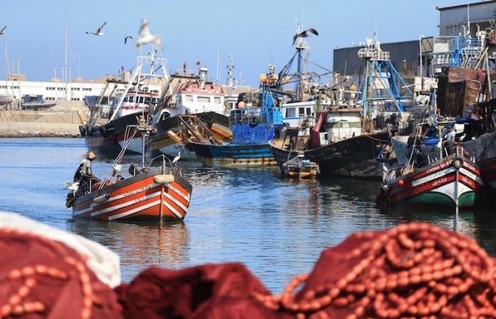 البحارة المغاربة ينادون بخفض أثمنة الغازوال وتعويضات "الراحة البيولوجية"