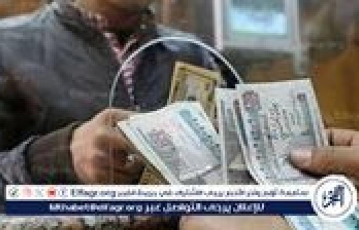 موعد صرف معاشات فبراير 2025 بالزيادة الجديدة ( تفاصيل)