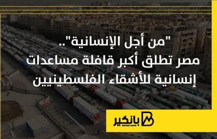 "من أجل الإنسانية".. مصر تطلق أكبر قافلة مساعدات إنسانية للأشقاء الفلسطينيين | إنفوجراف