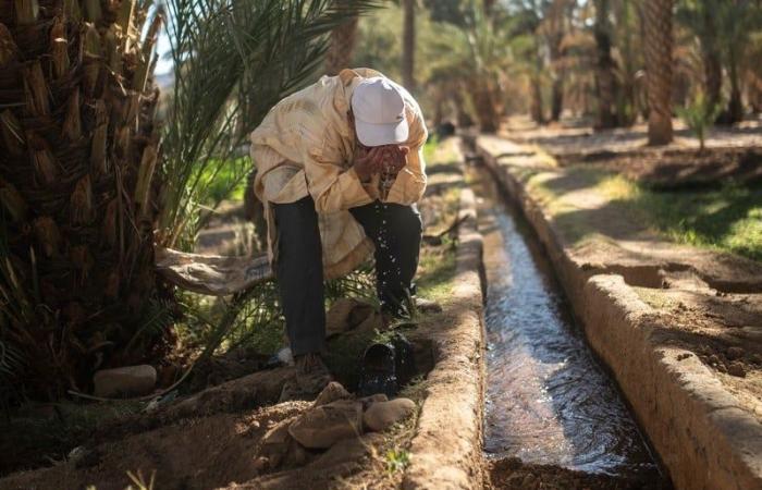 دعم تحويل ضخ مياه الري إلى الطاقة الشمسية يحقق مكاسب بيئية واقتصادية