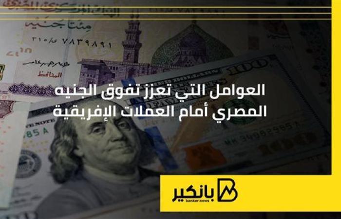 العوامل التي تعزز تفوق الجنيه المصري أمام العملات الإفريقية| إنفوجراف