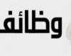 القوى العاملة بالقليوبية تعلن توفير 225 فرصة عمل برواتب مجزية