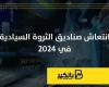 انتعاش صناديق الثروة السيادية في 2024